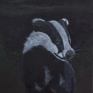 Whispers of the Badger