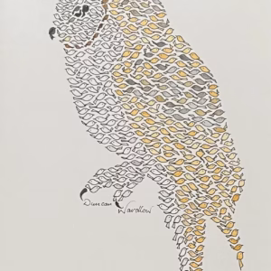 Barn Owl - Little Birds