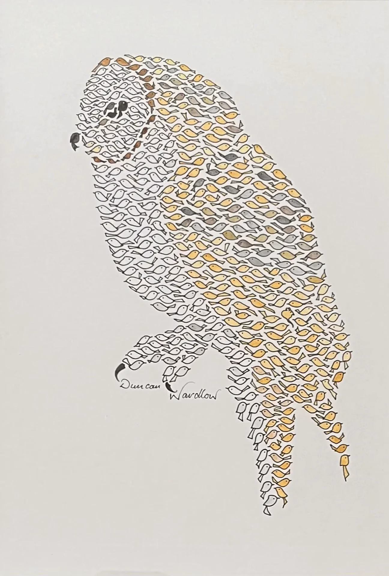 Barn Owl - Little Birds