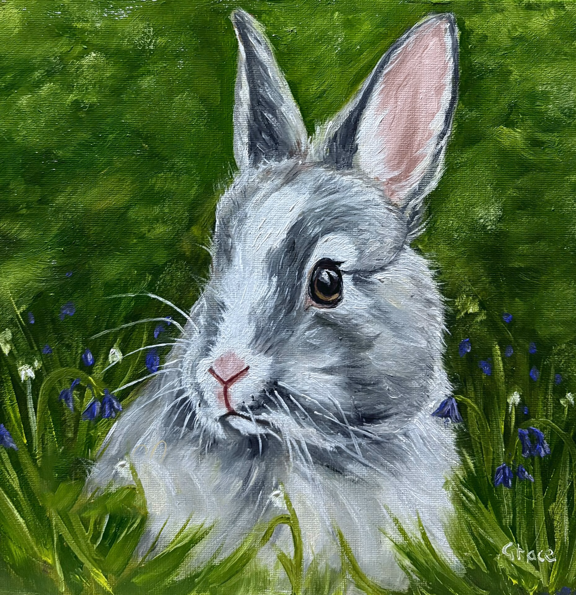 Painting of a young grey bunny sitting amidst bluebells