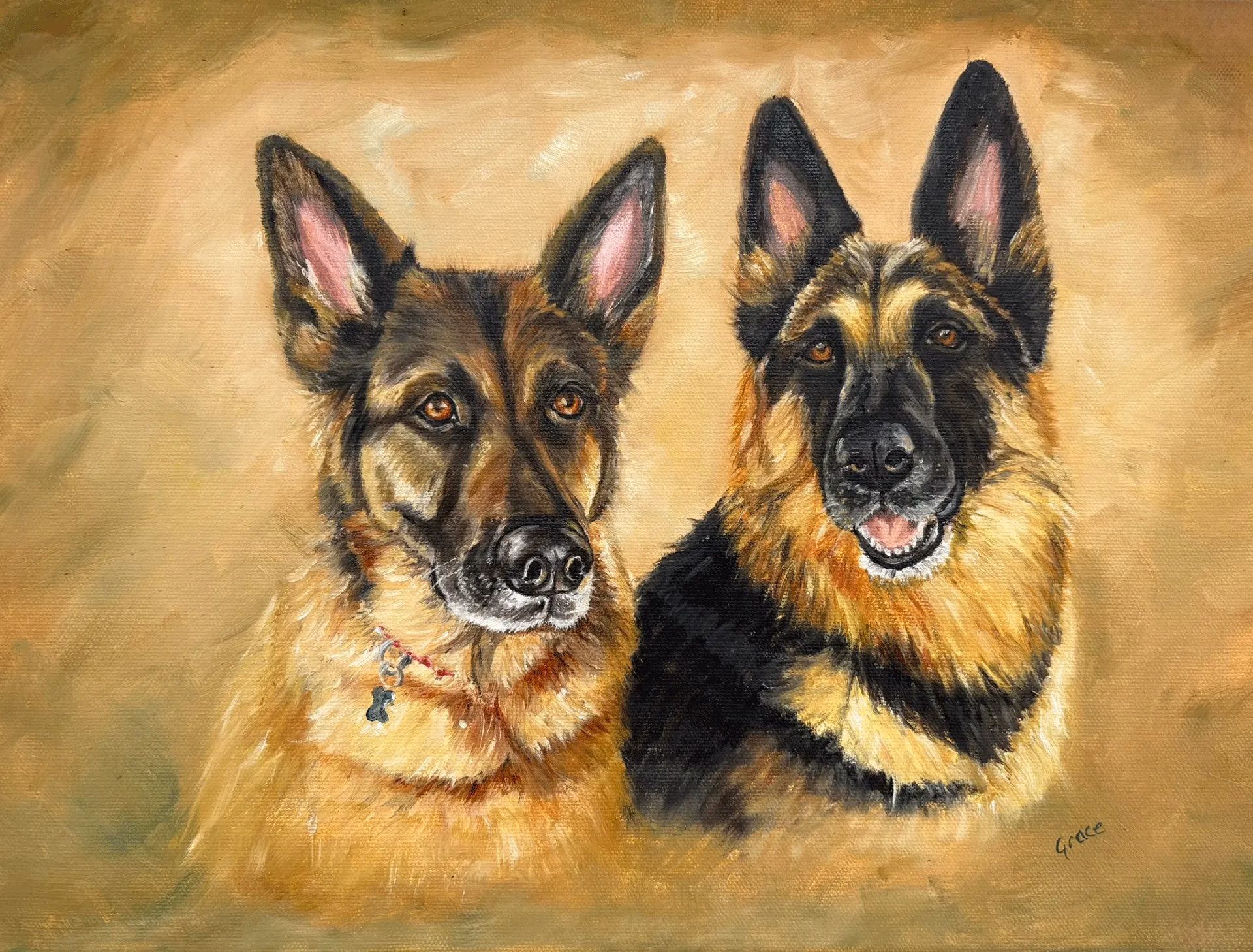 Pet Portraits - Image 7