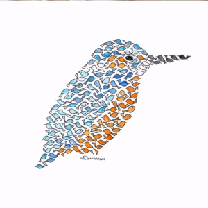 Kingfisher - Little Birds