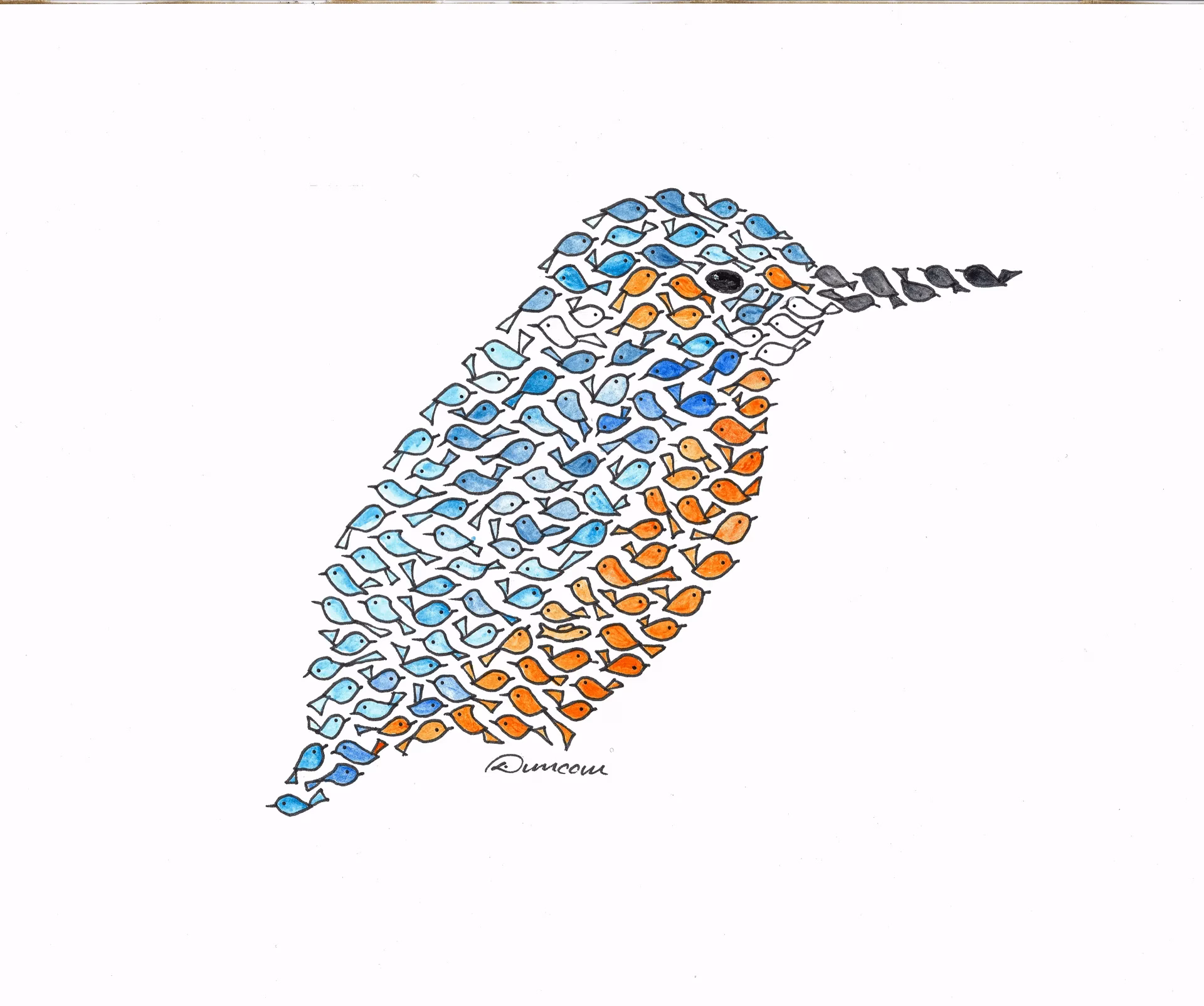 Kingfisher - Little Birds