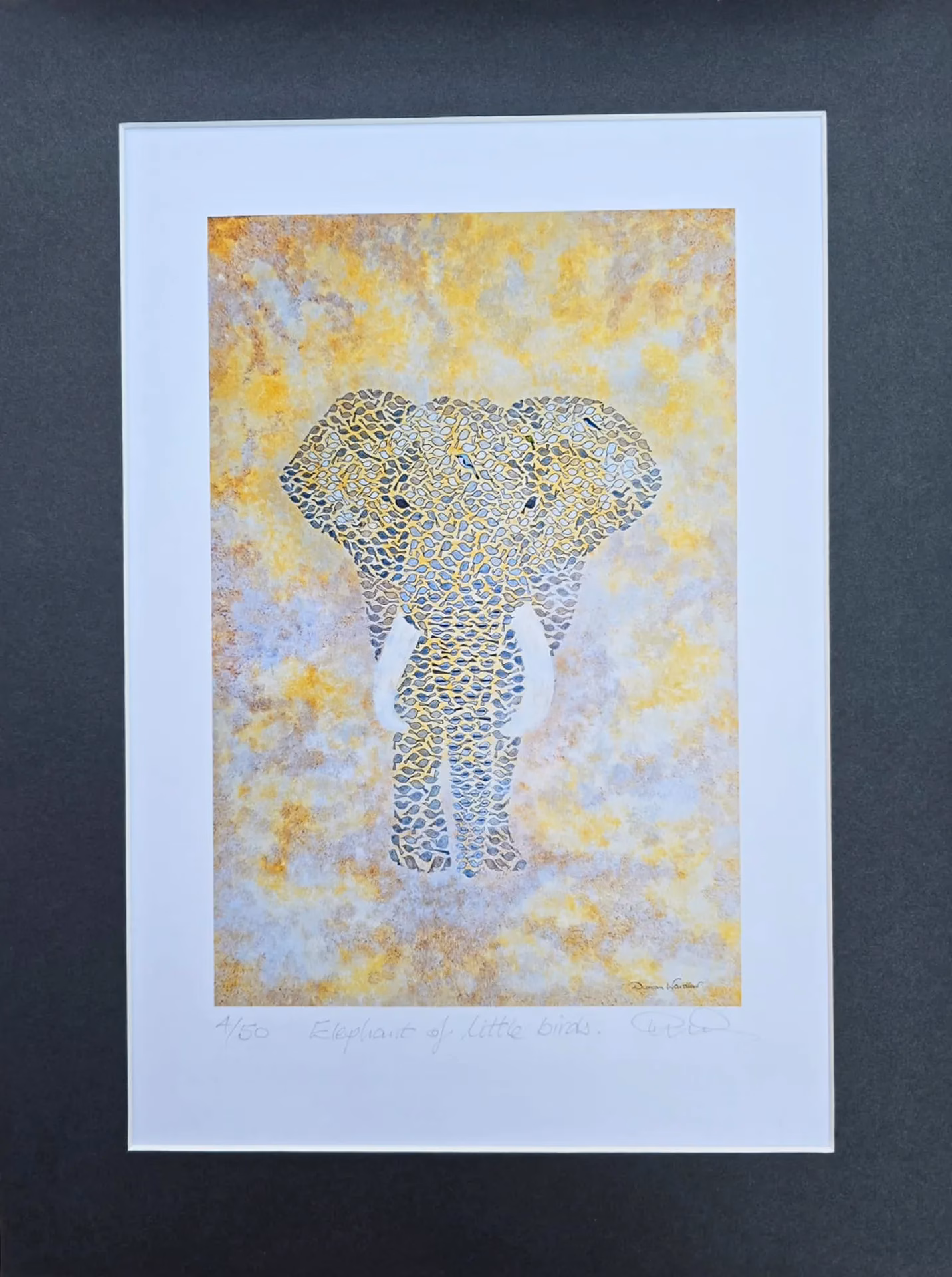 Limited Edition Fine Art Print - African Elephant Little Birds