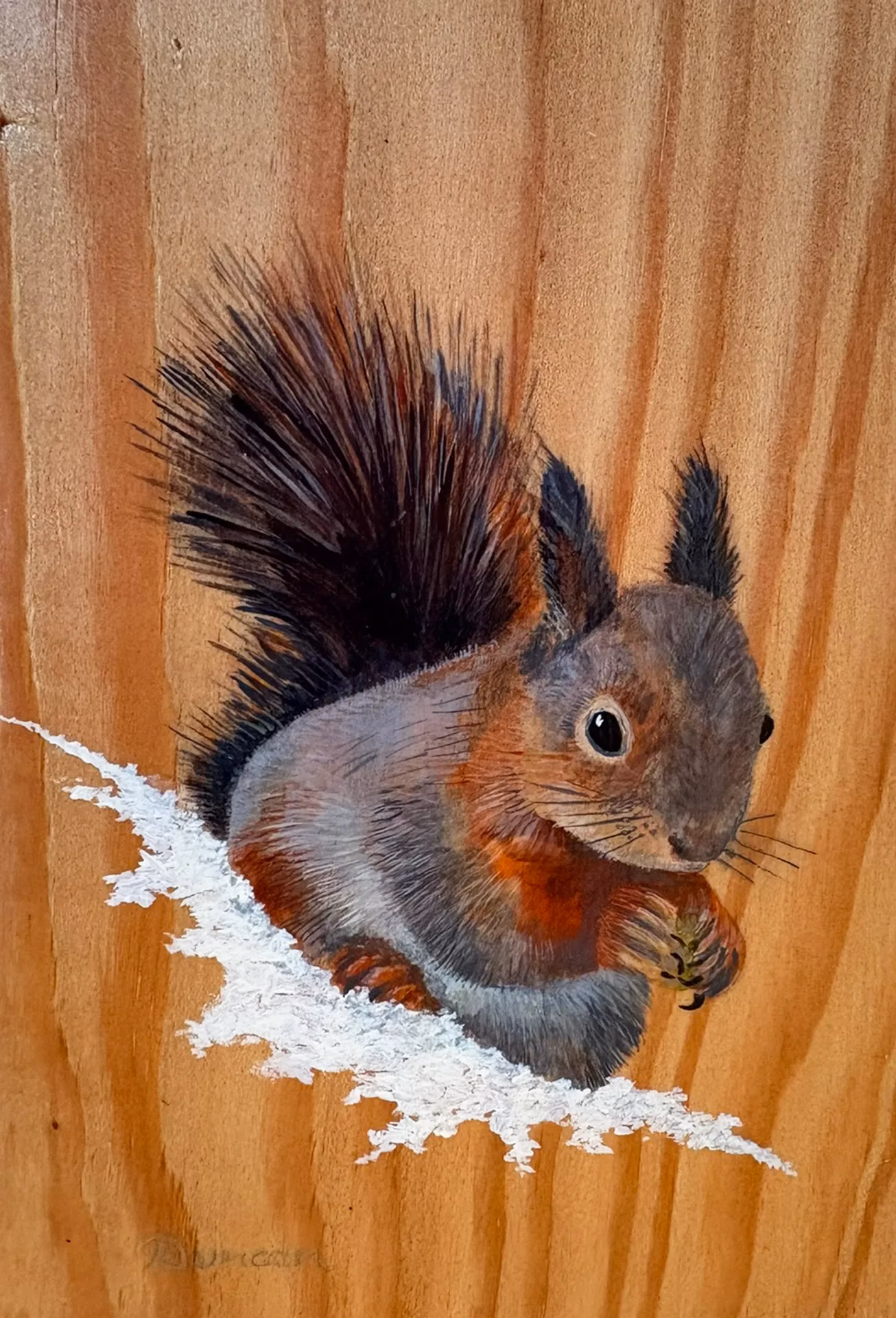Red Squirrel on Larch Wood - Image 2