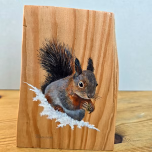 Red Squirrel on Larch Wood