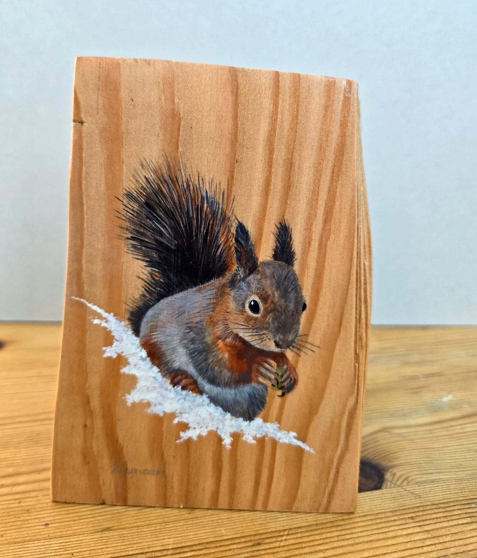 Red Squirrel on Larch Wood
