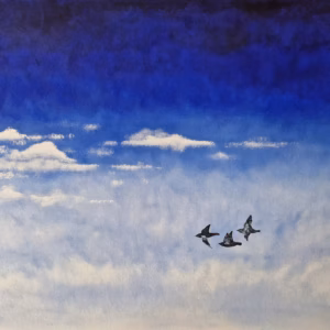 Flying Home