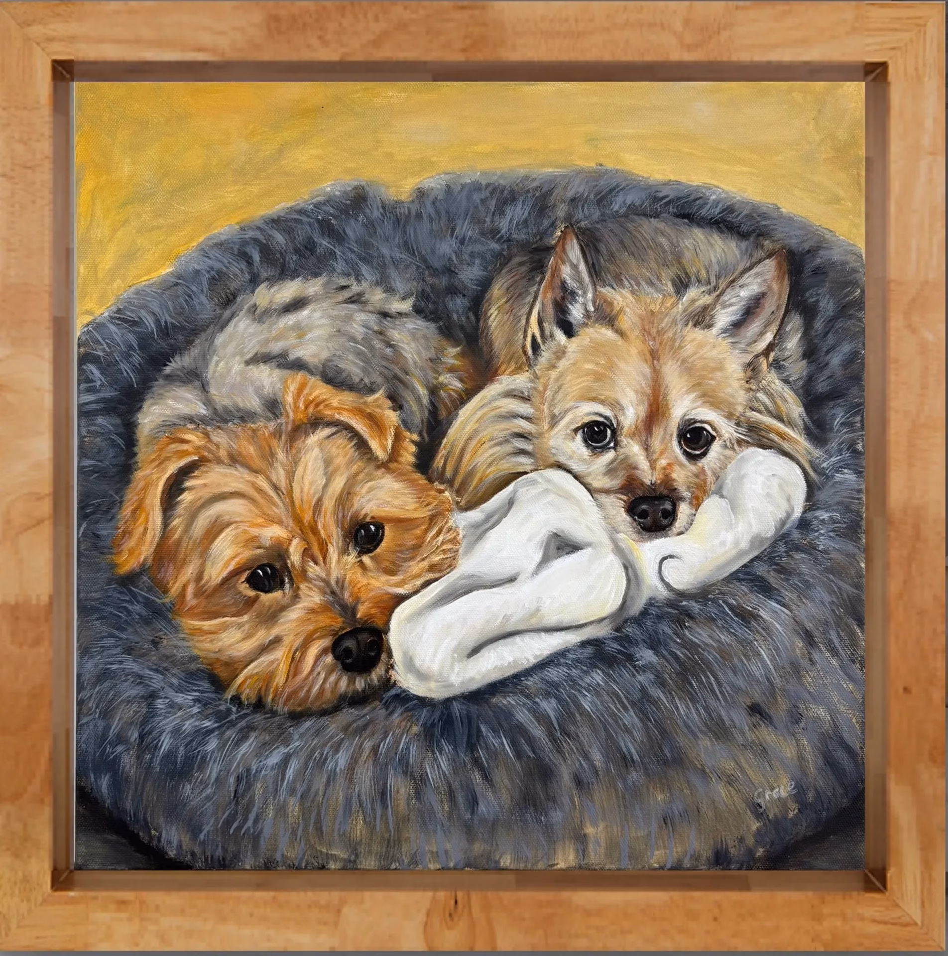 Pet Portraits - Image 4