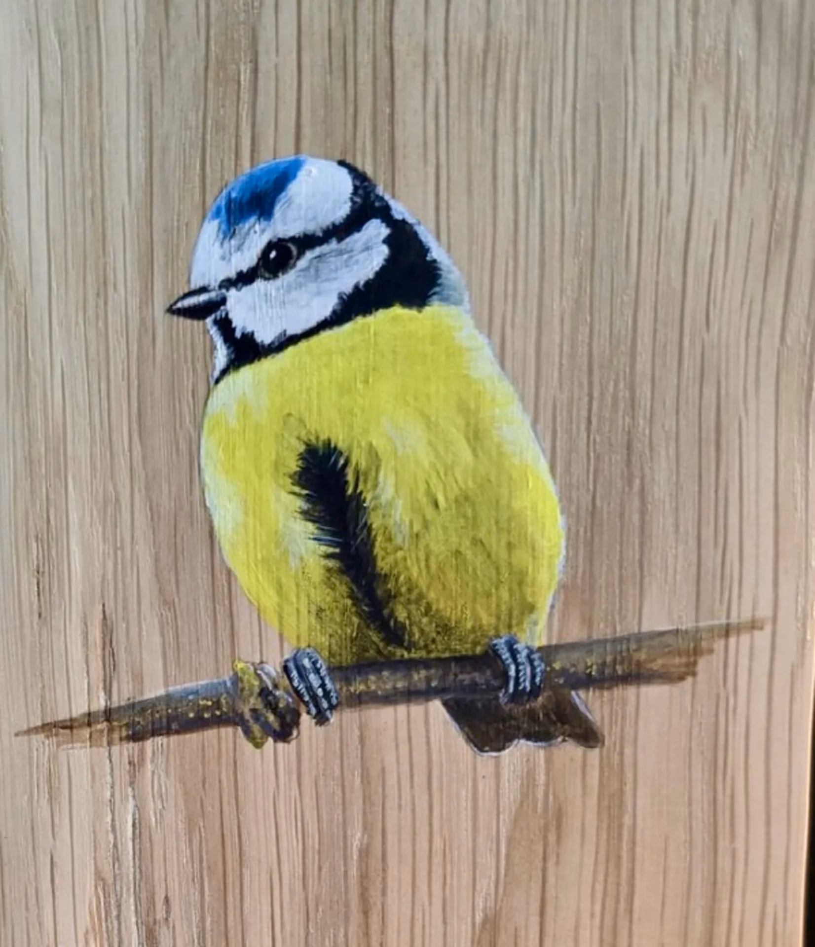 Blue Tit on Oak Wood - Image 2