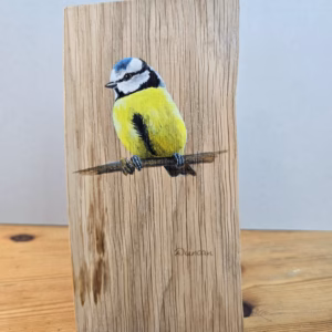 an original acrylic painting of a blue tit sitting on a branch. Painted on a piece of oak wood.