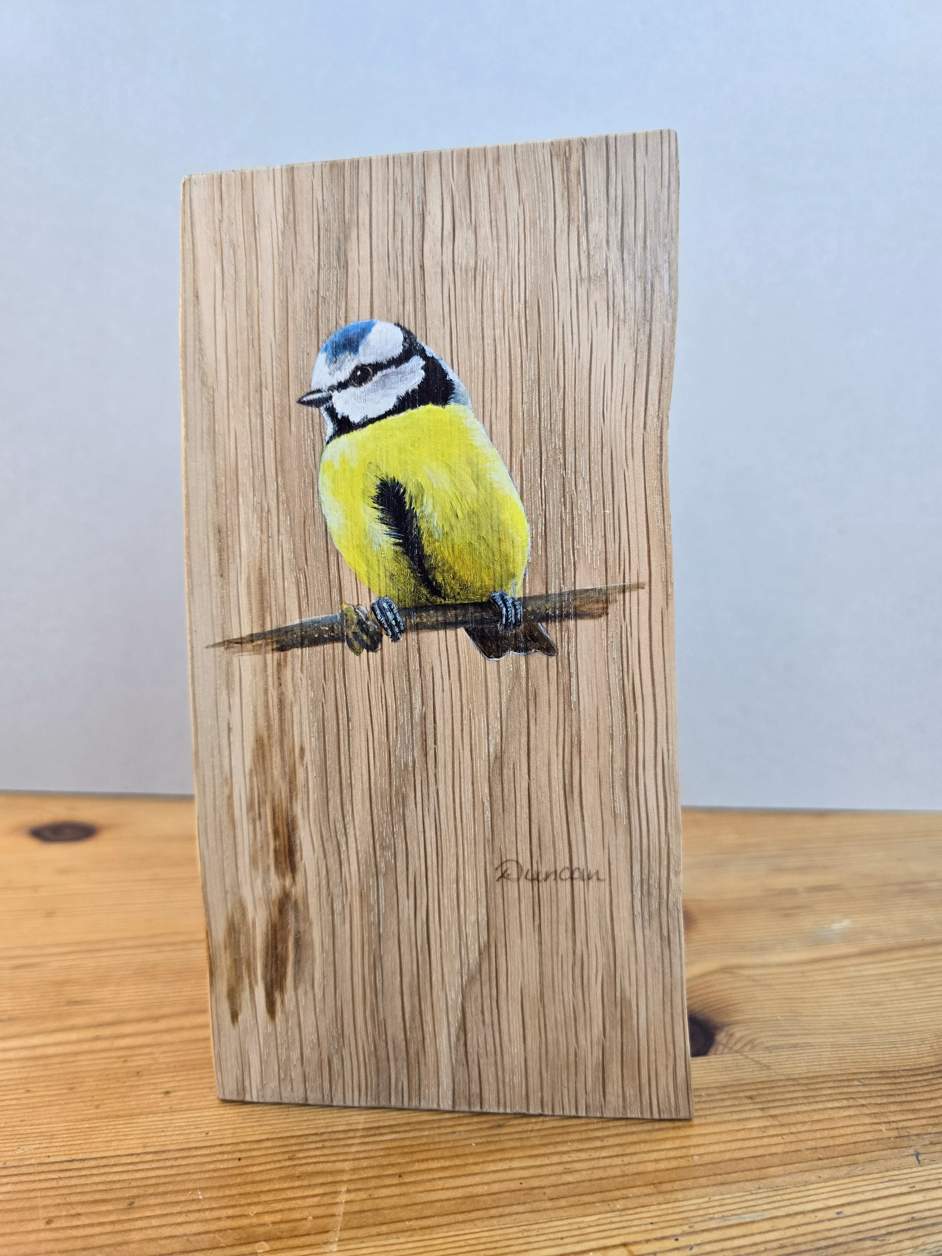 an original acrylic painting of a blue tit sitting on a branch. Painted on a piece of oak wood.