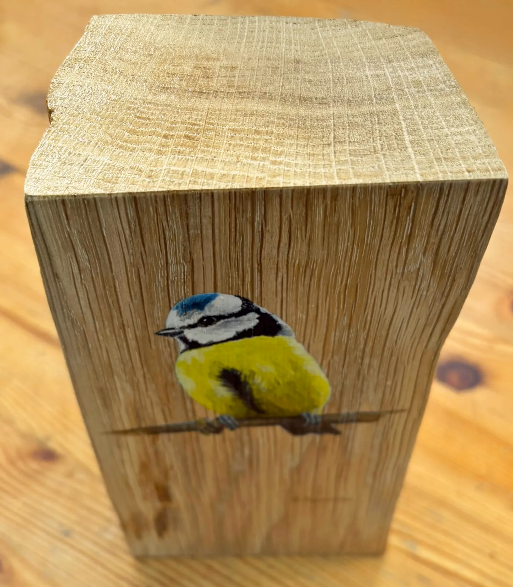 Blue Tit on Oak Wood - Image 5