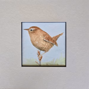 A little wren sits on a bud against a blue sky