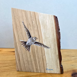 an acrylic painting of a single skylark flying on a piece of oak wood