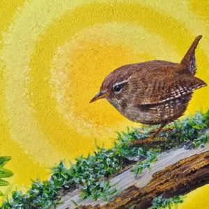 Spring Wren