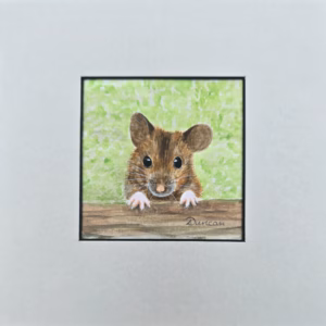 Little Wood Mouse
