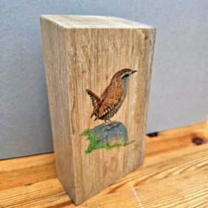 Wren Sitting on a Rock on Oak Wood