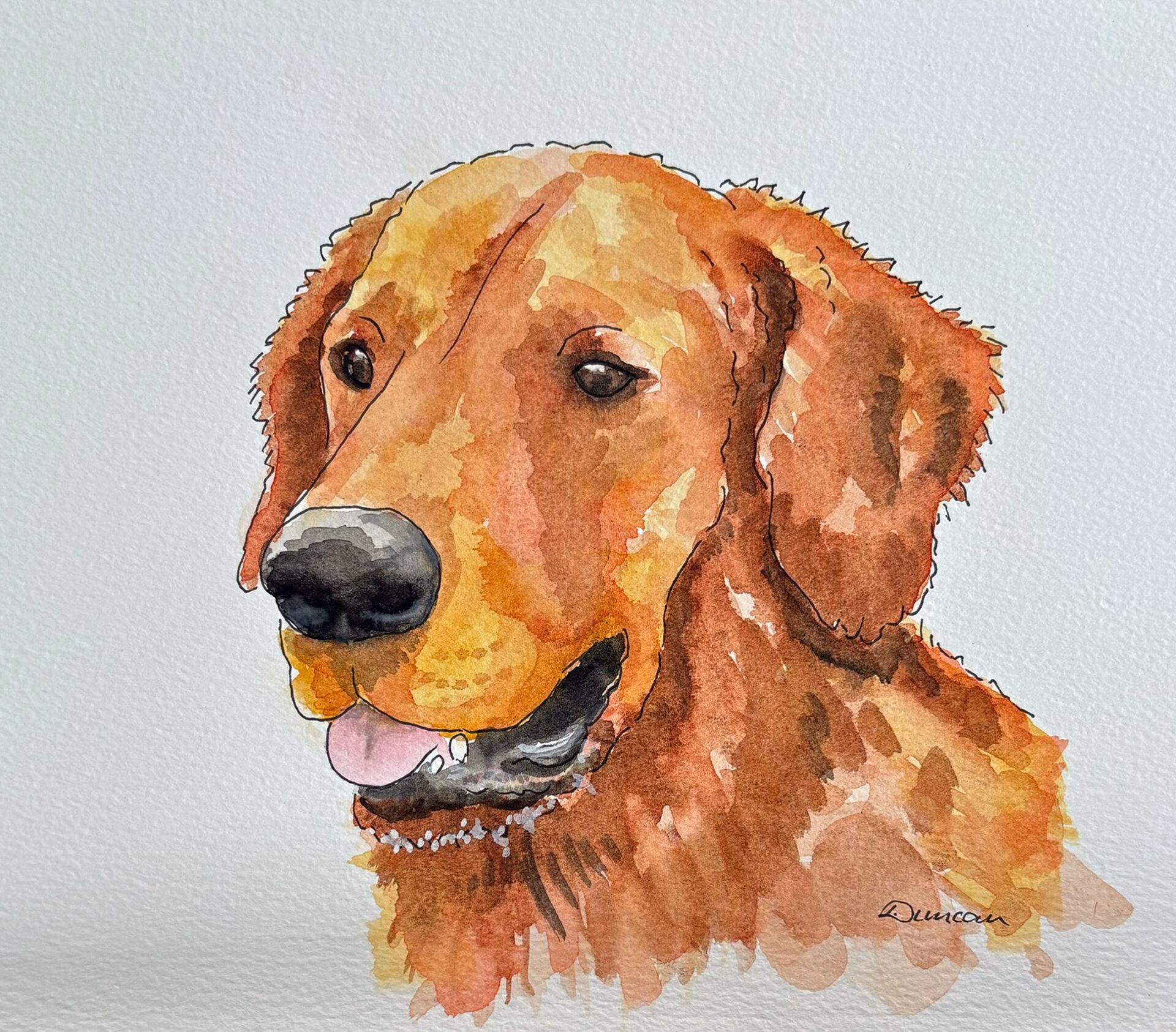 Pet Portraits Duncan - Image 2