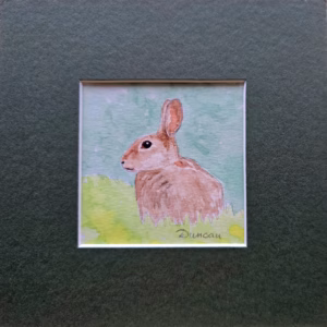 Little Brown Rabbit