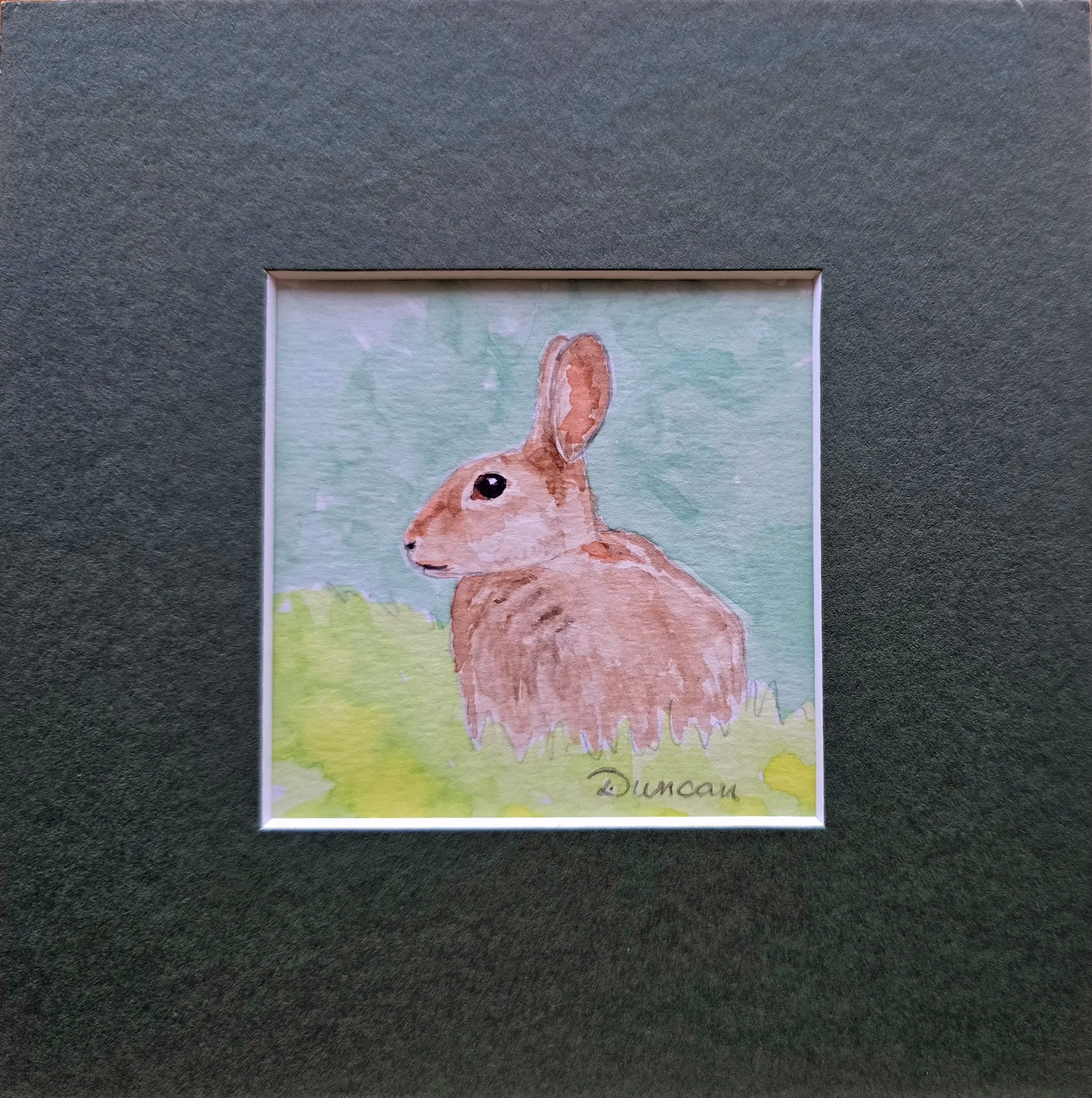 Little Brown Rabbit