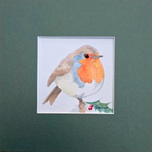 Winter Robin