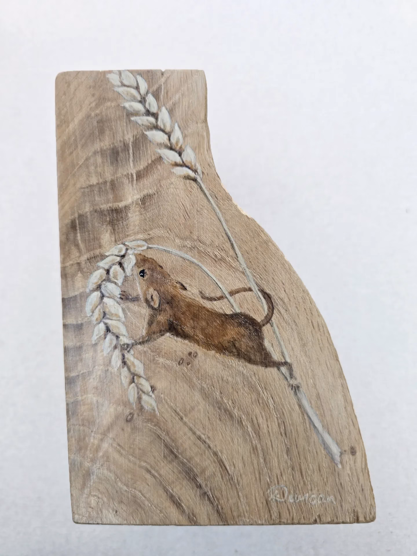 Field Mouse on Oak Wood - Image 2