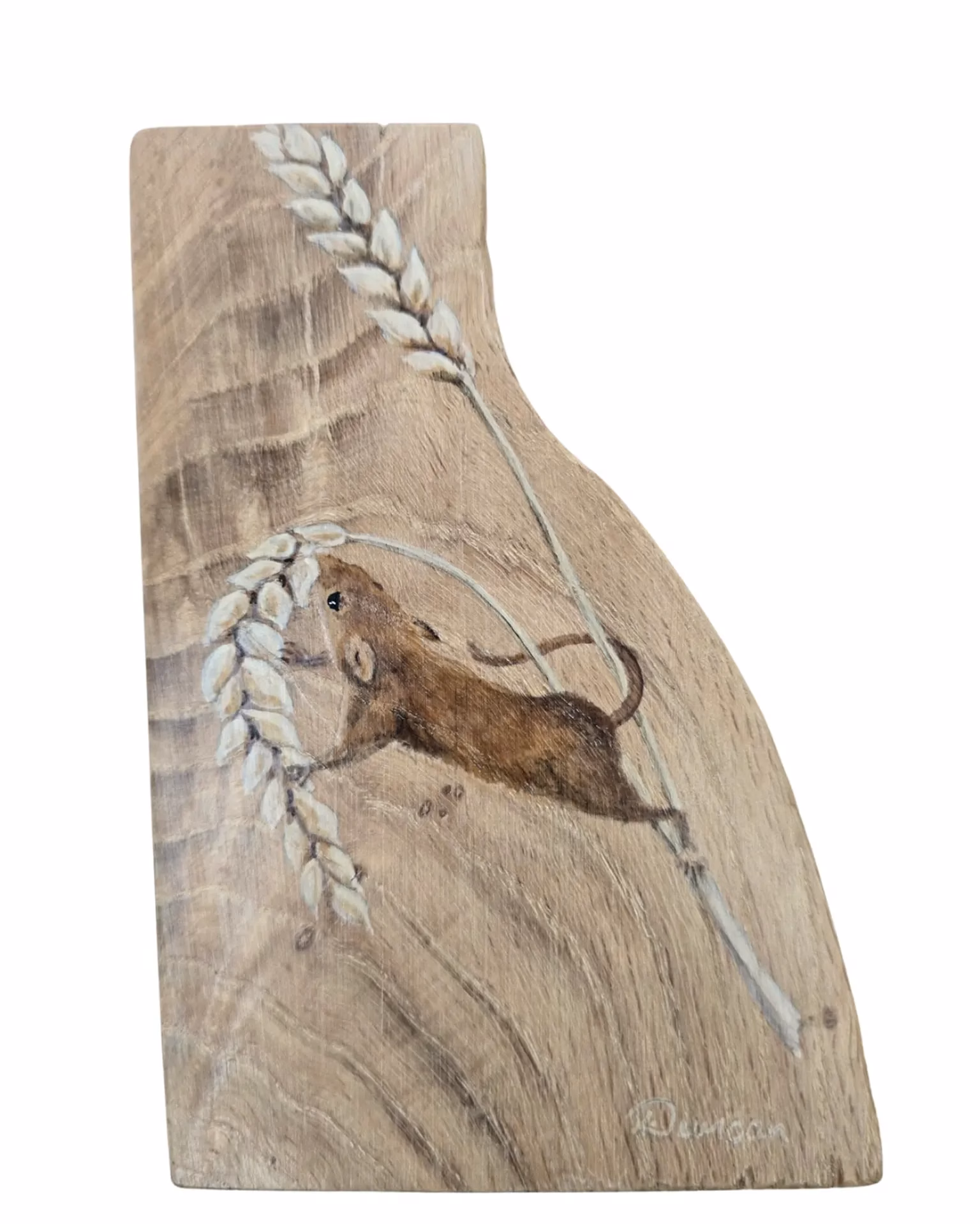 Field Mouse on Oak Wood