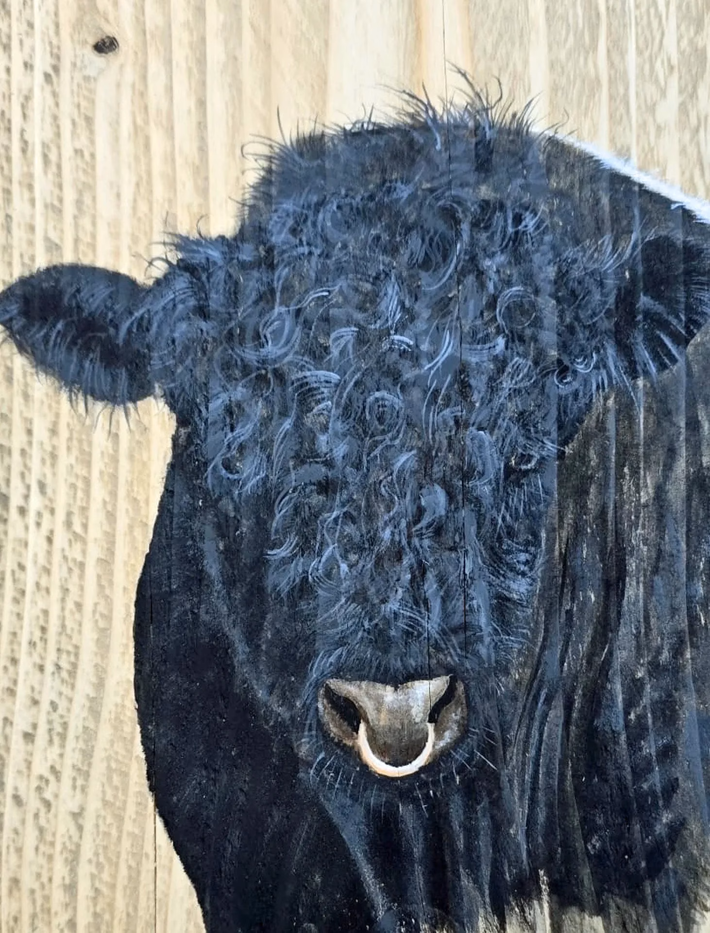 Acrylic Painting of a Belted Galloway Bull on Reclaimed Pine Wood - Image 3
